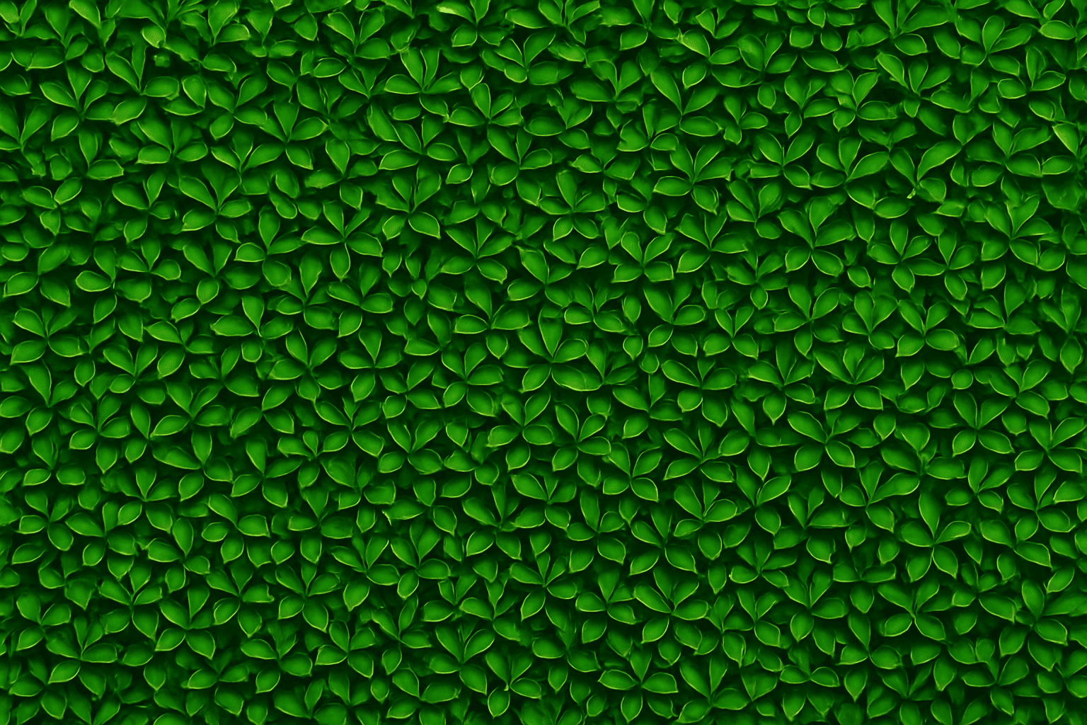 ChatGPT Image 13 oct. 2025, 15_03_58