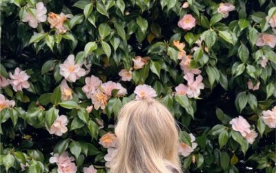 Pourquoi les communes passent au feuillage artificiel pour les murs anti-bruit ?