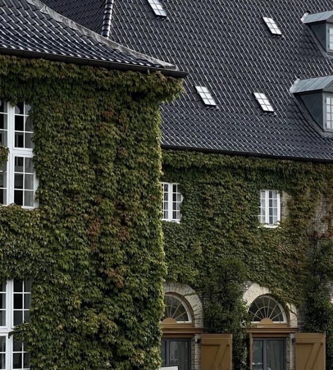 mur anti bruit plante artificielle